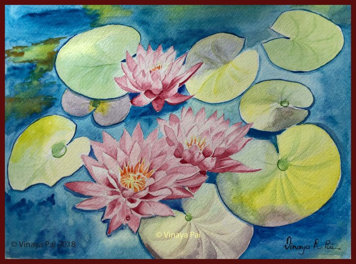 water lillies